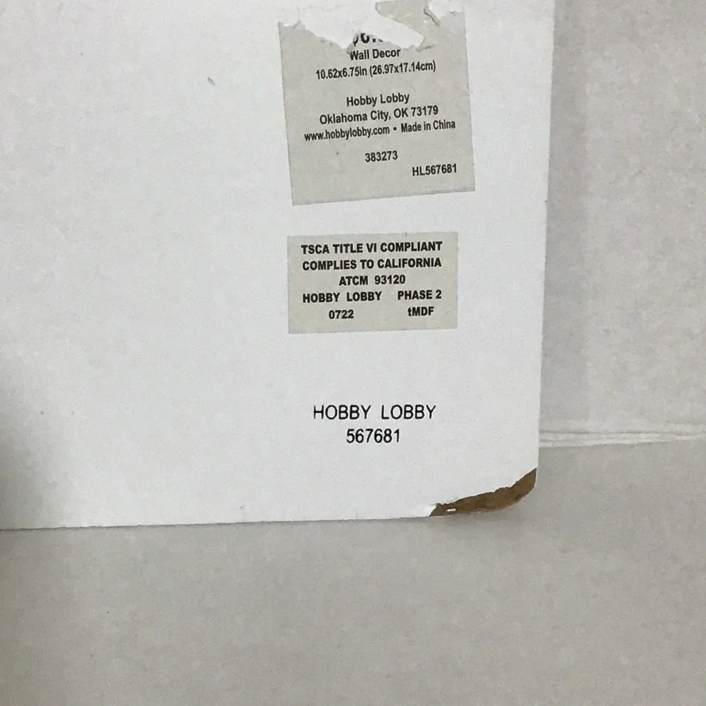 Hobby Lobby Girls Only No Boys Allowed Pink‎ Floral Wall Plaque Sign